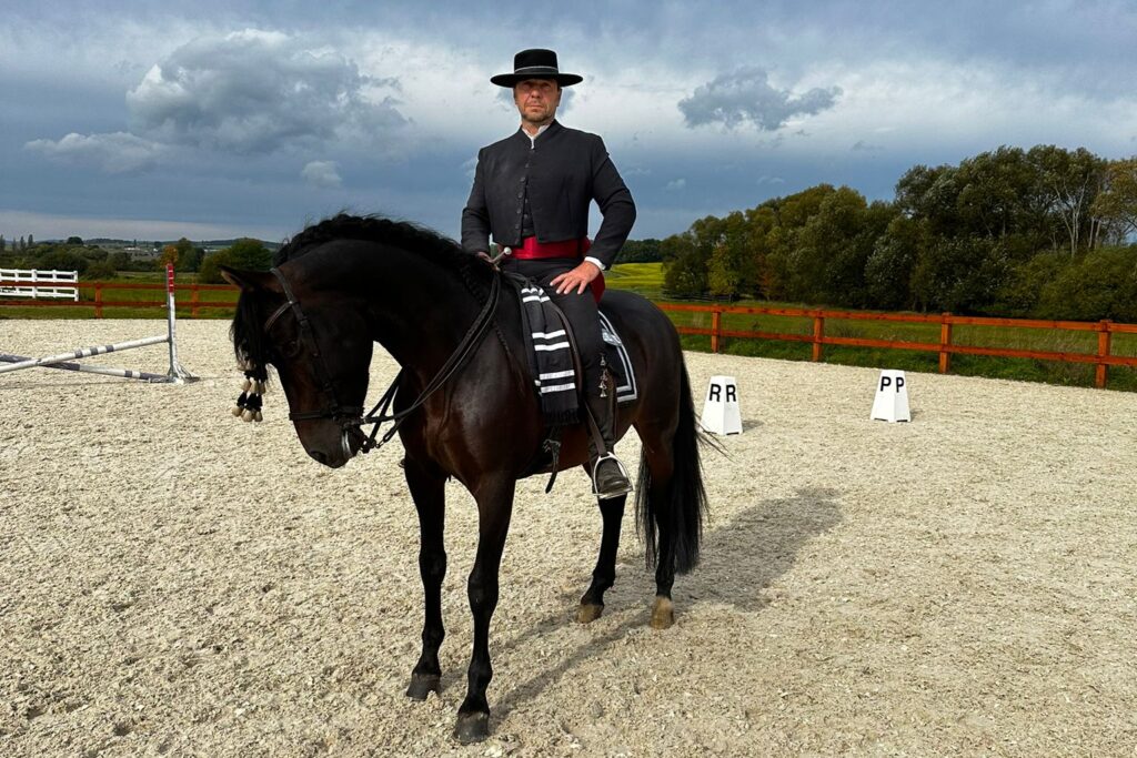 Working equitation Working equitation